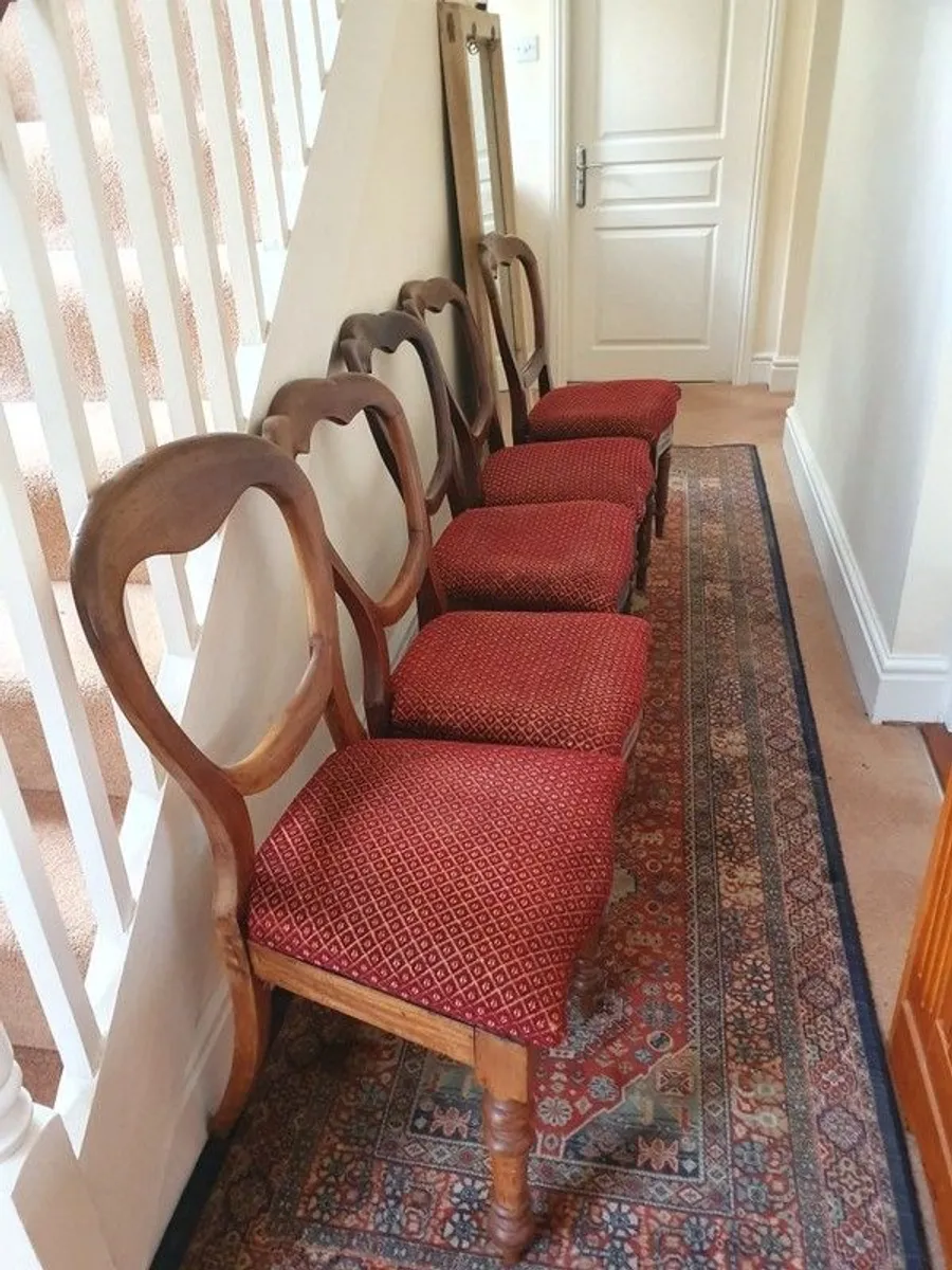 Spoon backed Chairs . set of 5 - Image 2