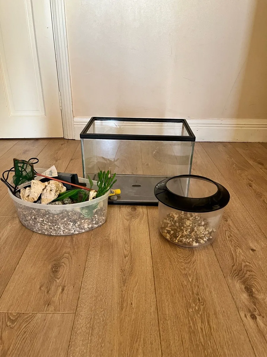 Fish tank - Image 1