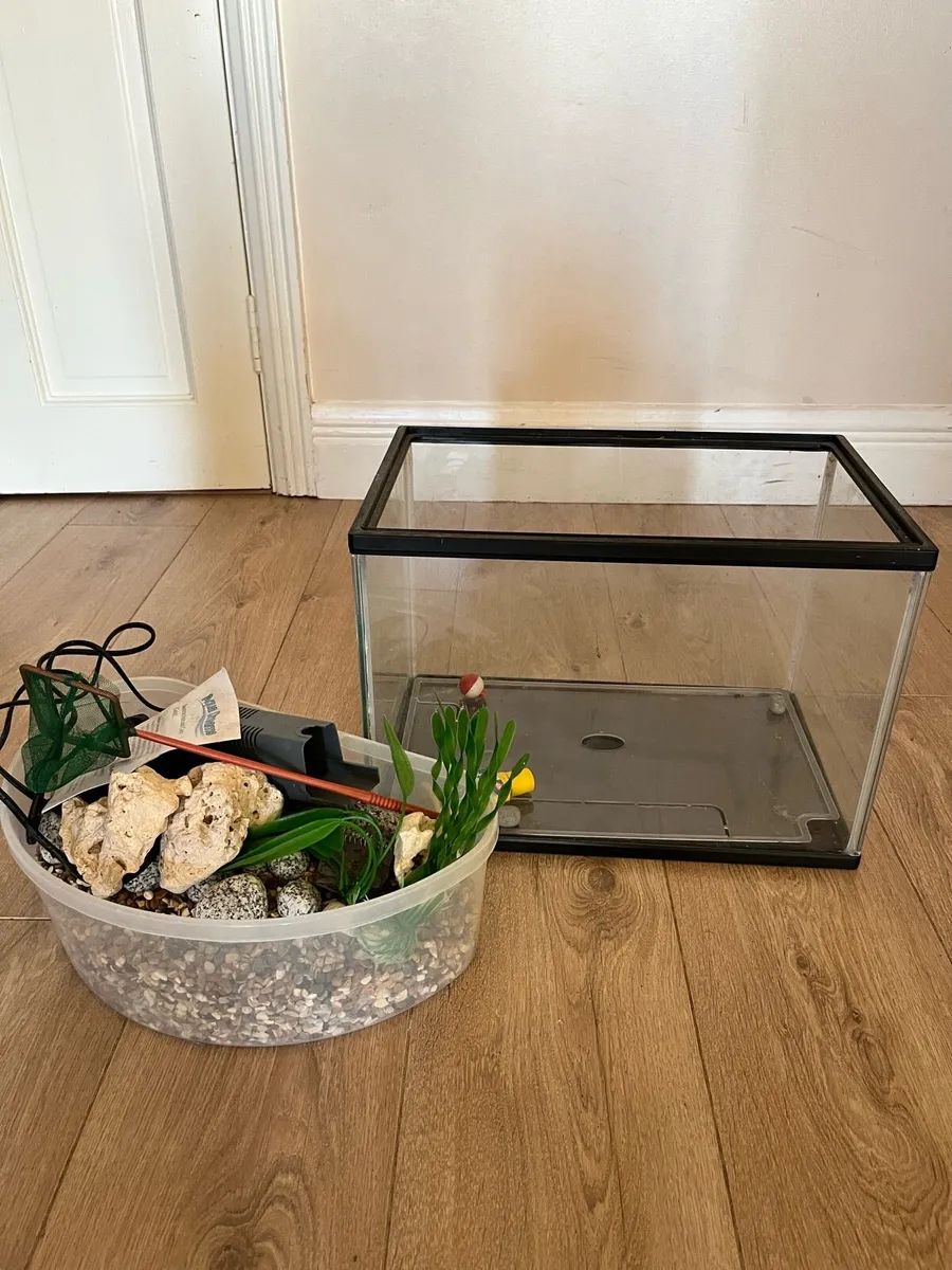 Fish tank - Image 2