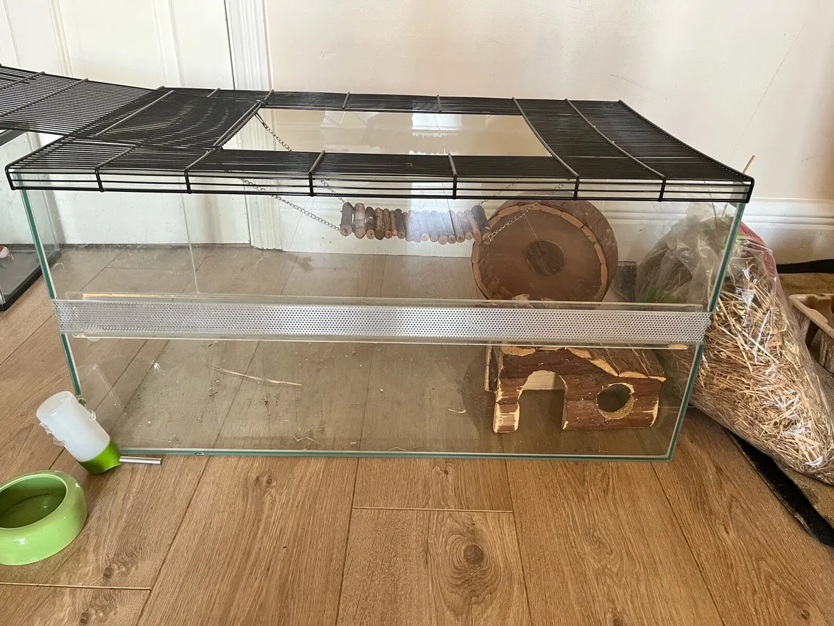 Gerbil/hamster cage - Image 2