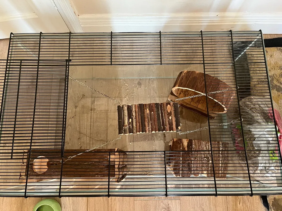 Gerbil/hamster cage - Image 3