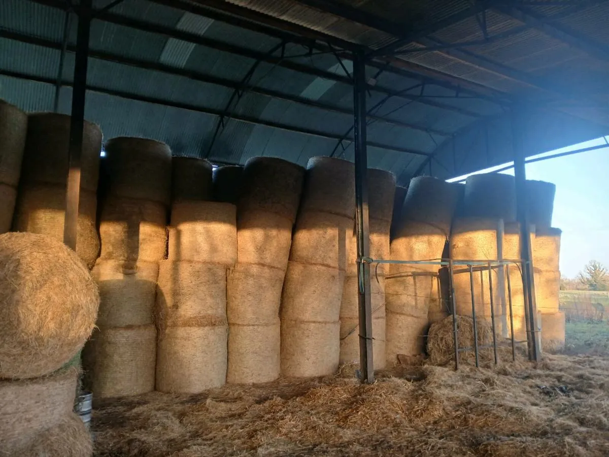 Hay and silage - Image 1