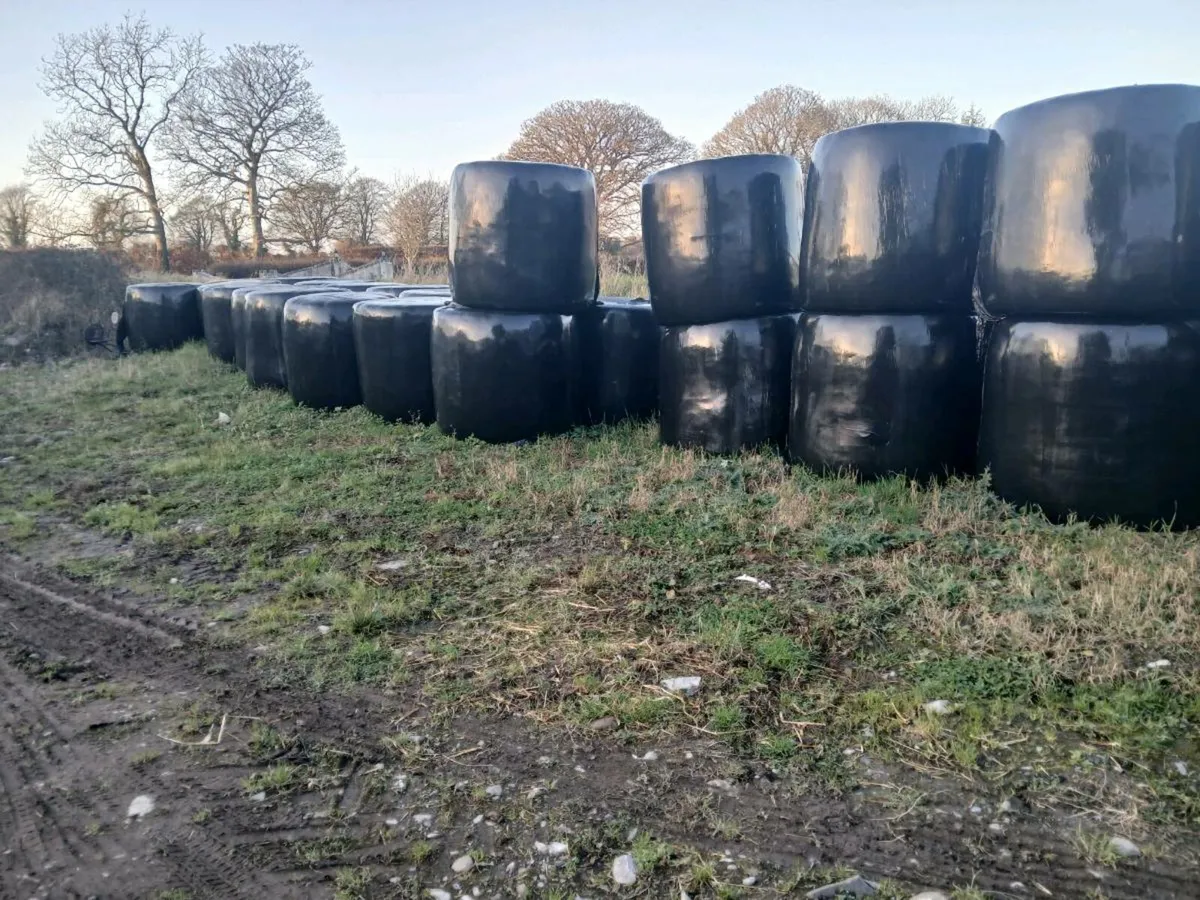 Hay and silage - Image 2