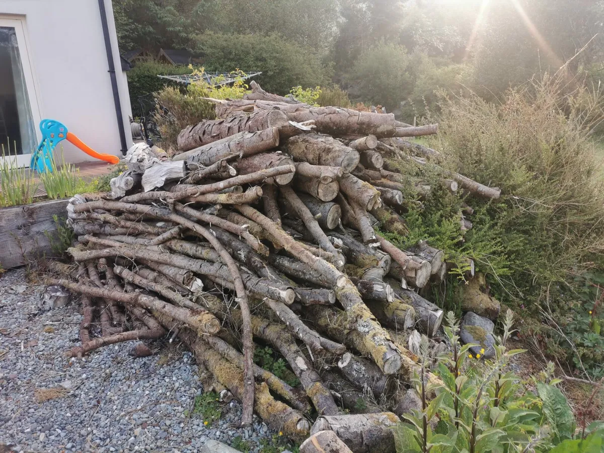 Firewood Cutting - Image 1