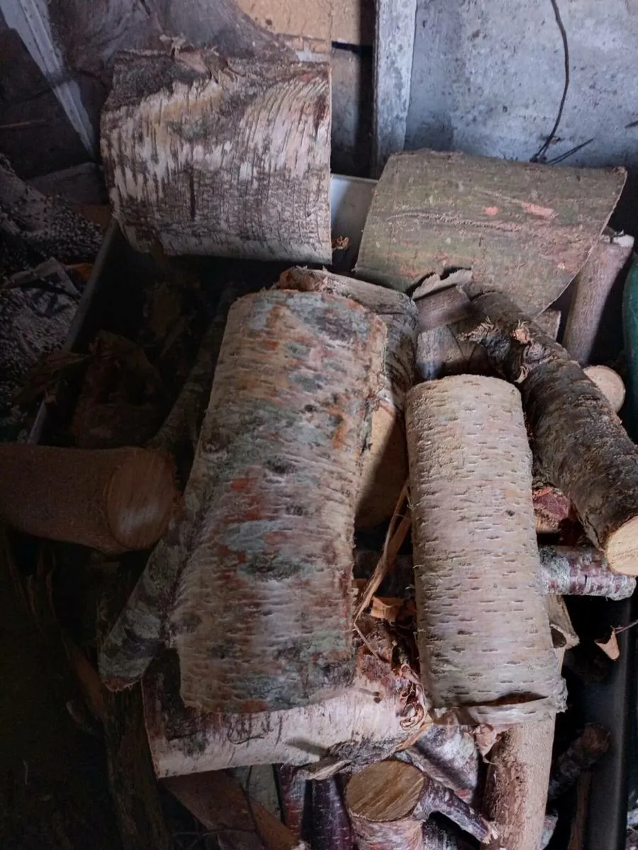 Firewood Cutting - Image 3