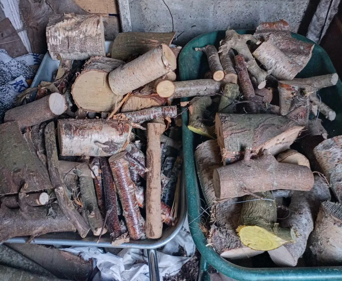 Firewood Cutting - Image 4