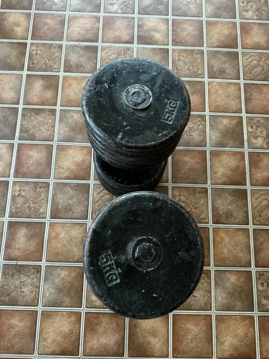 Pair dumbbells 52kg - Image 1