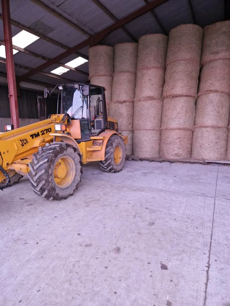 Hay - Image 4