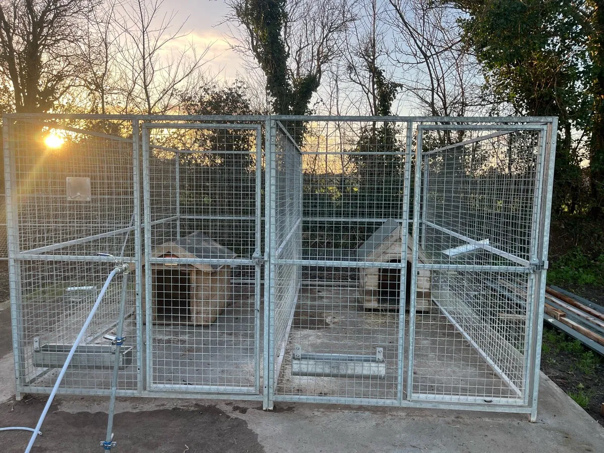 Dog pen - Image 1