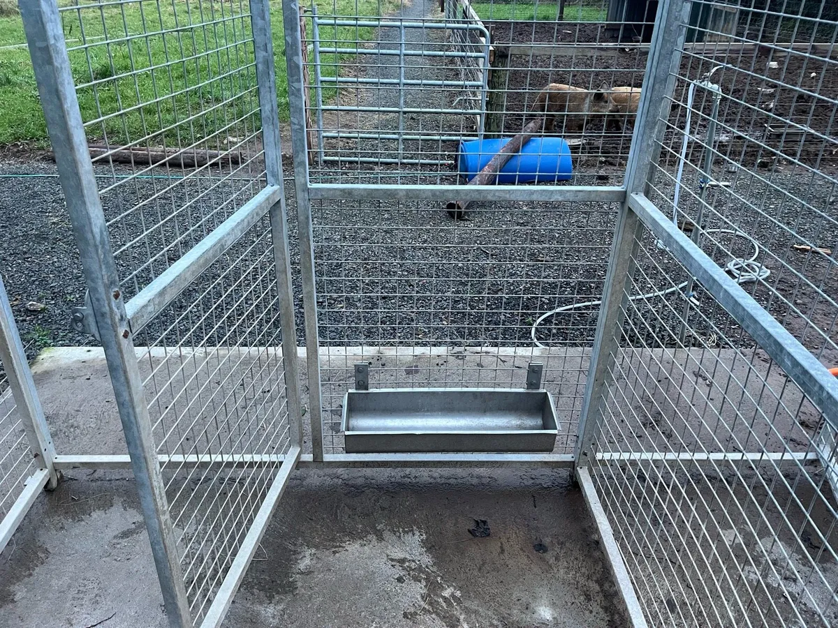 Dog pen - Image 3