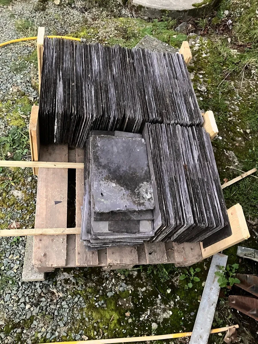 Blue bangor - Image 3