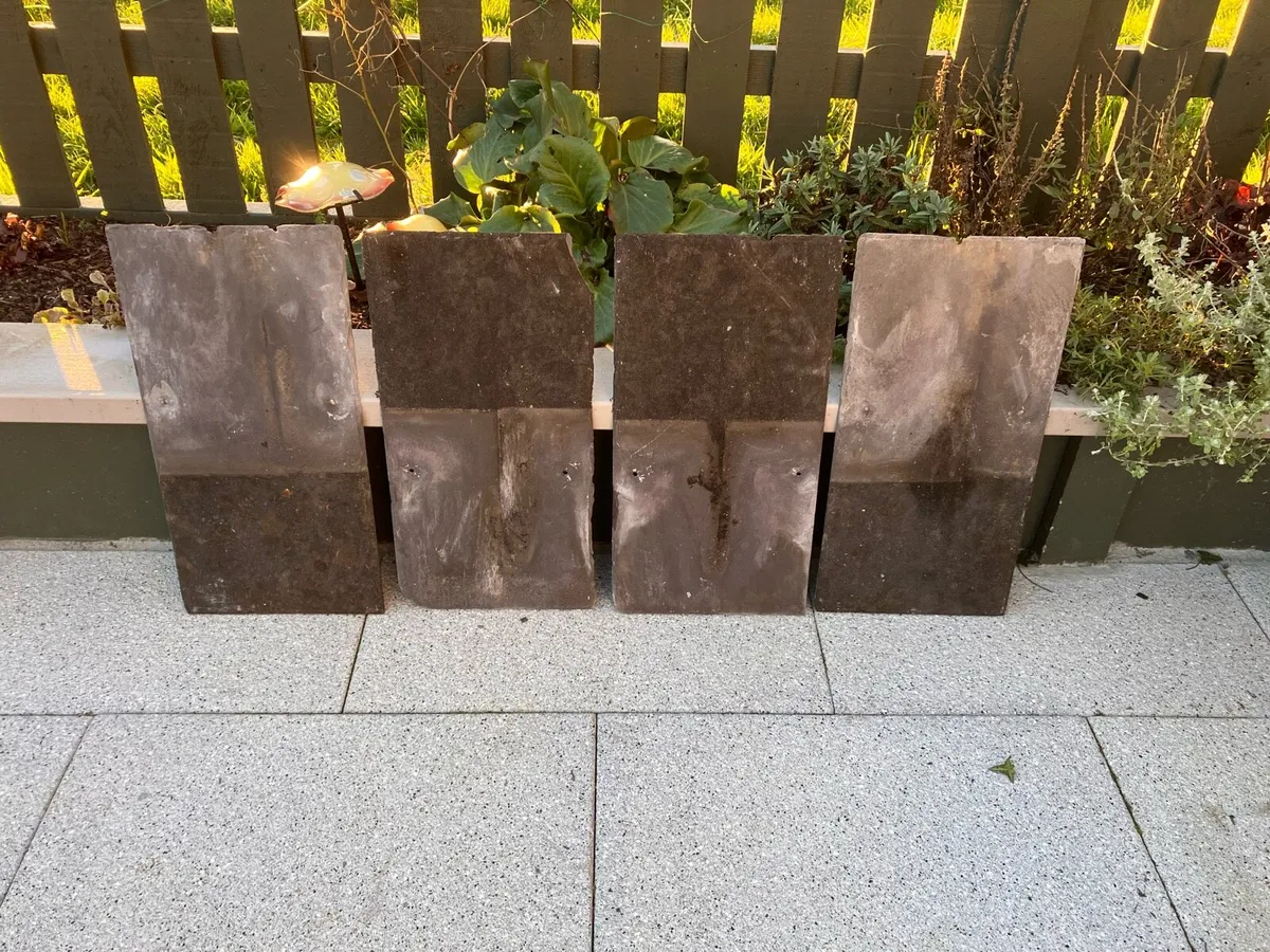 Blue bangor - Image 4