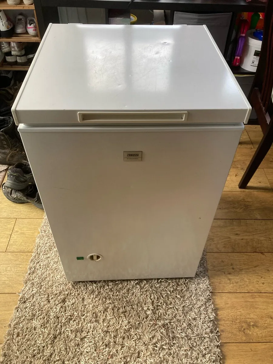 Chest Freezer - Image 1