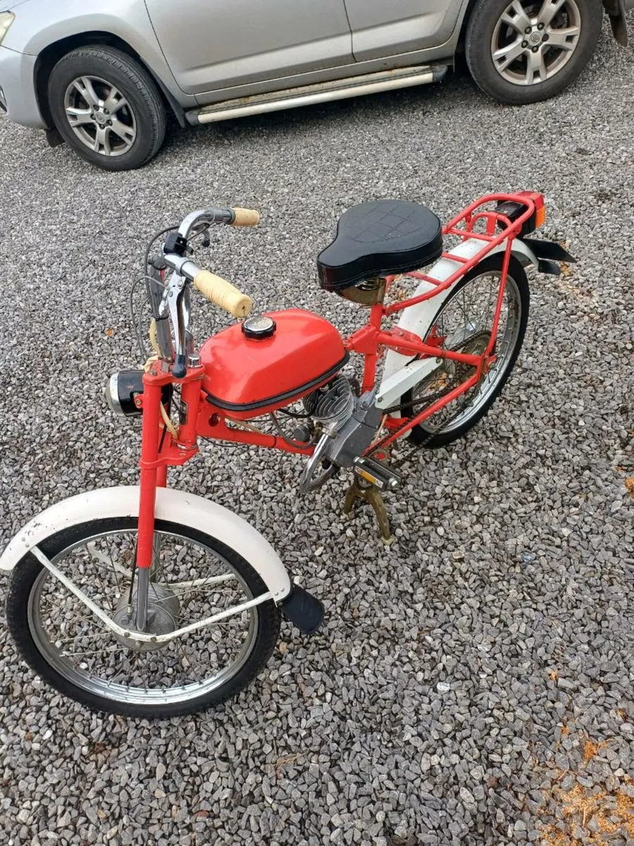 1995 stella Riga 13 - Image 1