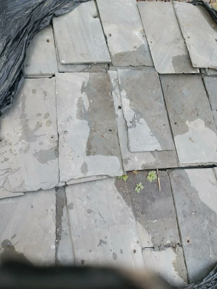 Bangor blue  slates   12x22 - Image 2