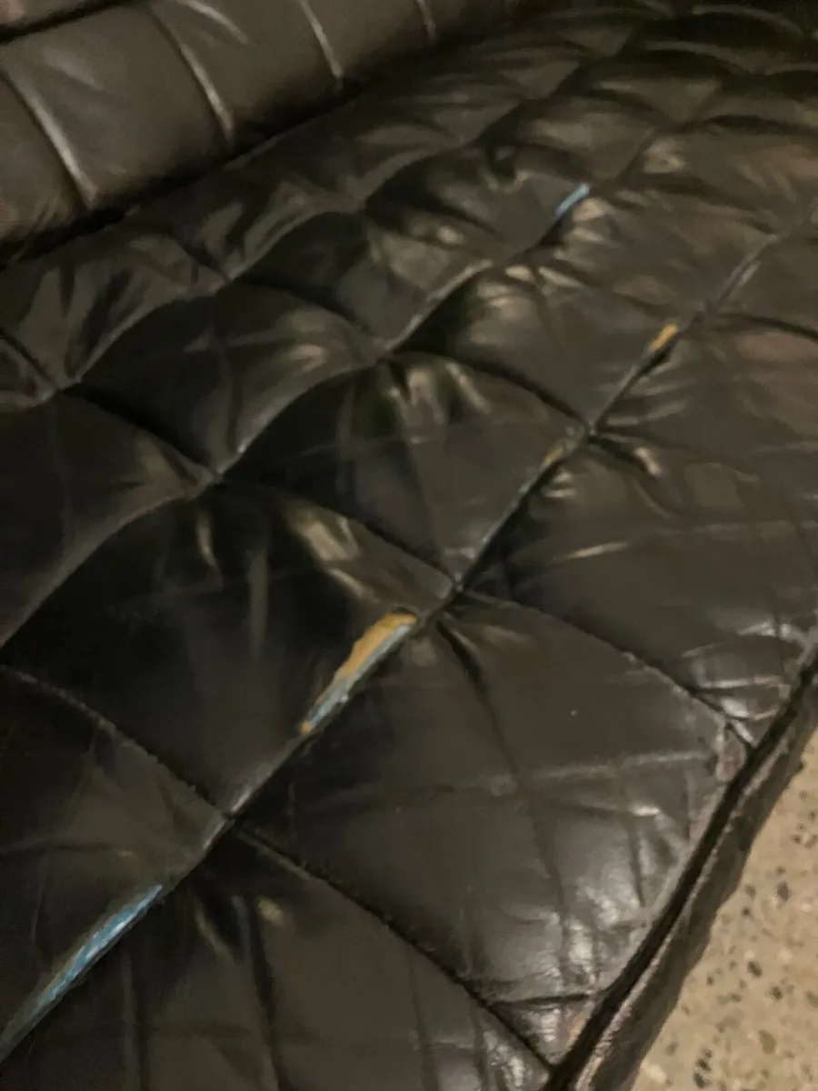Free Couch - Image 1