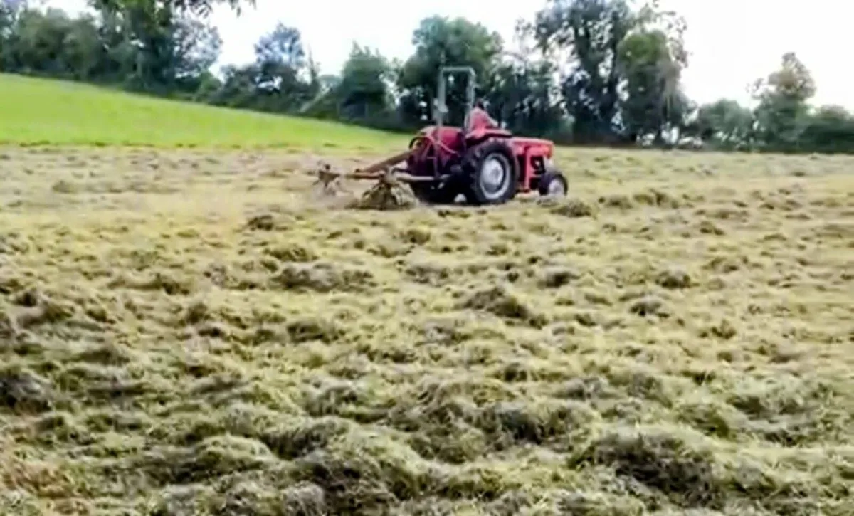 Square bales of Hay - Image 1