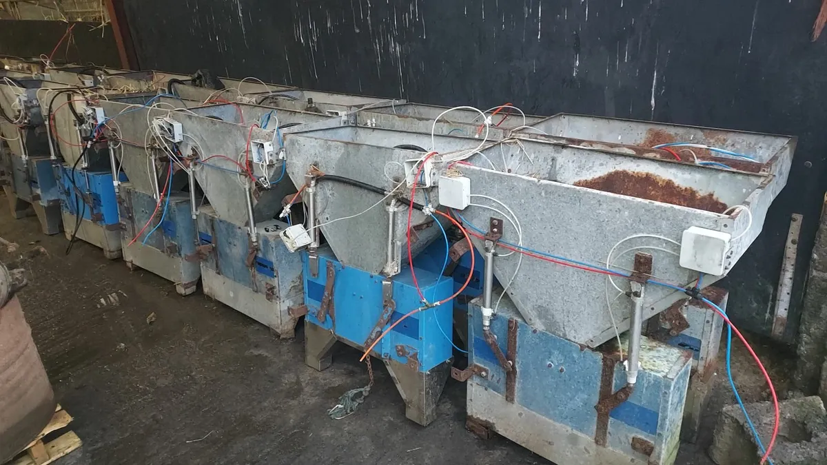 Cashman Feeders - Image 4