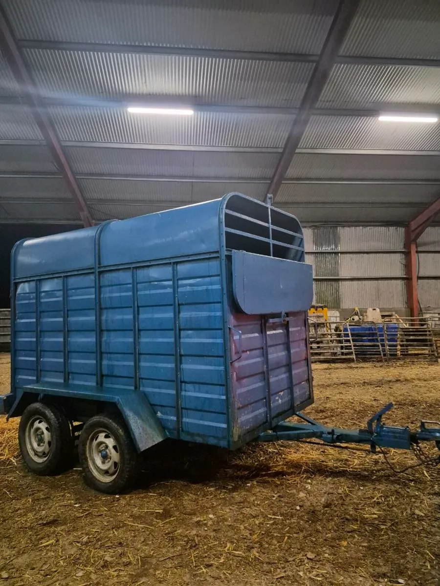8x4 cattle trailer - Image 1