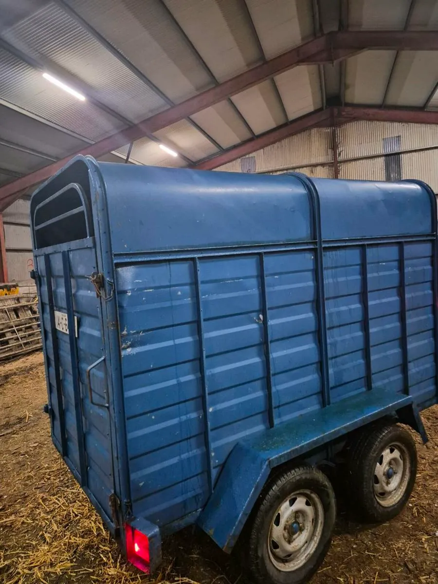 8x4 cattle trailer - Image 2