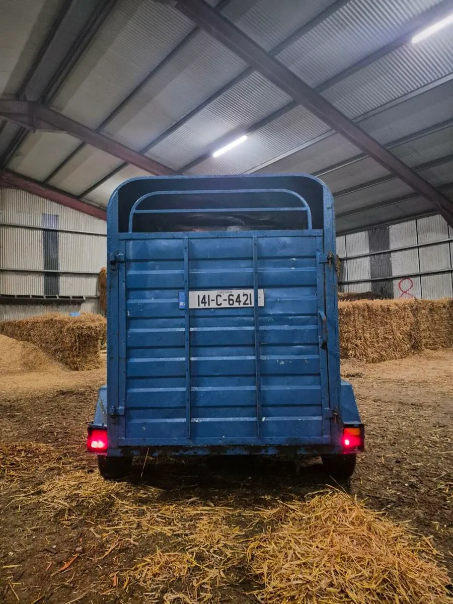 8x4 cattle trailer - Image 3