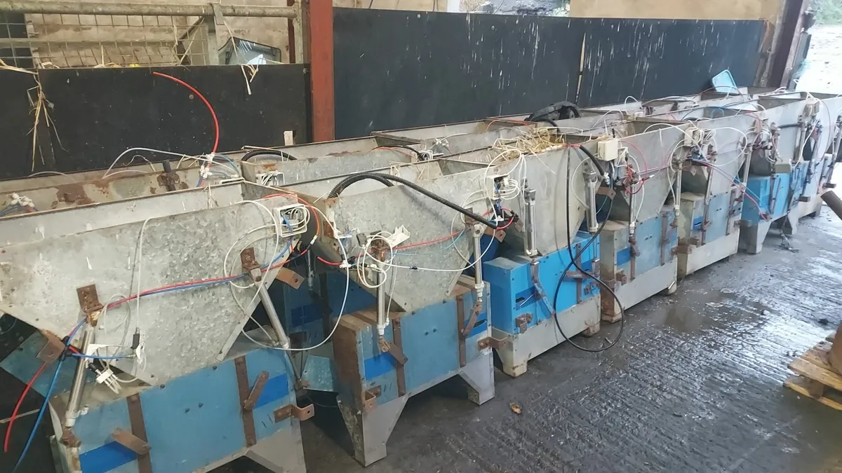 Cashman Feeders - Image 2