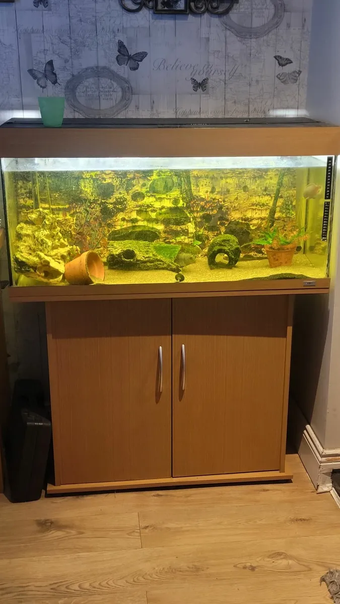 Fish tank - Image 2