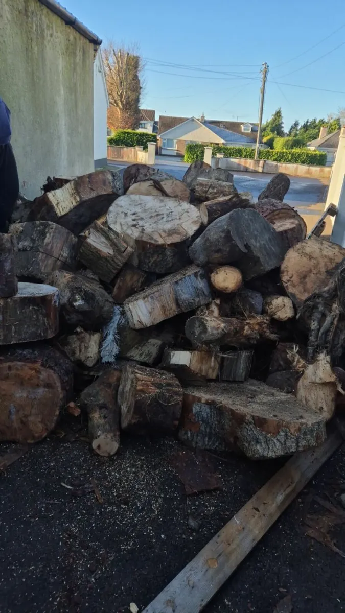 Fire wood - Image 2