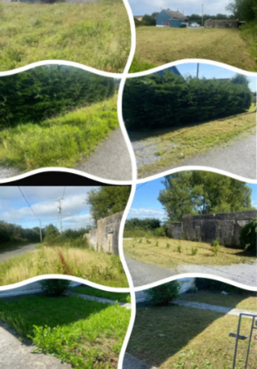 Garden services - Image 2