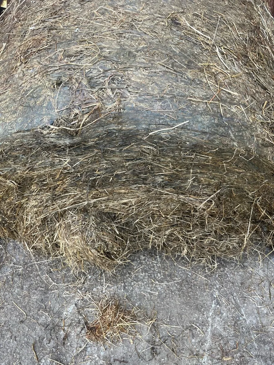 Silage - Image 2