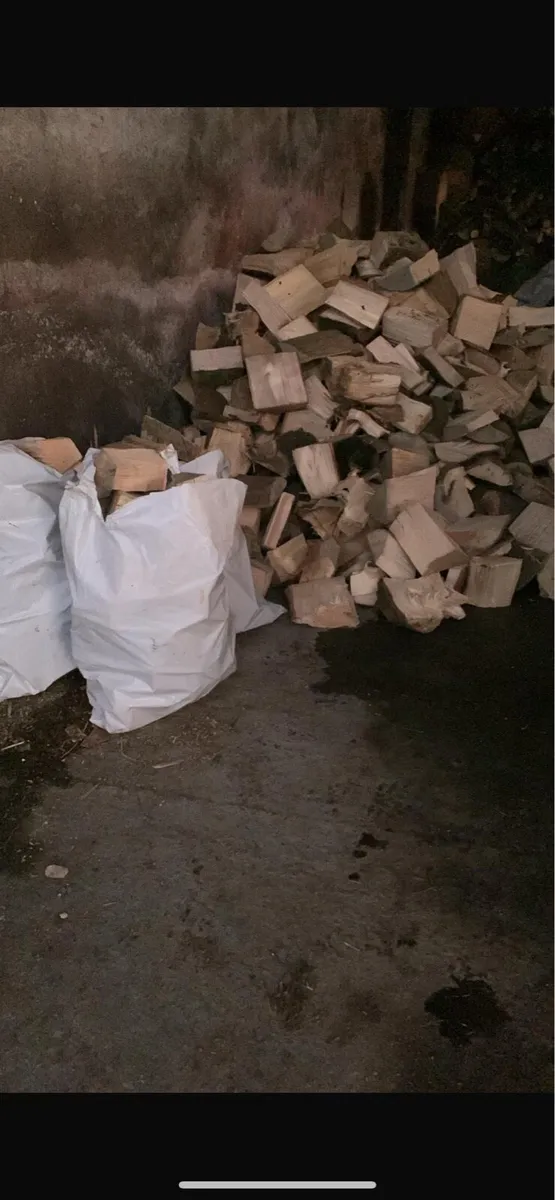 Ash sticks - Image 1