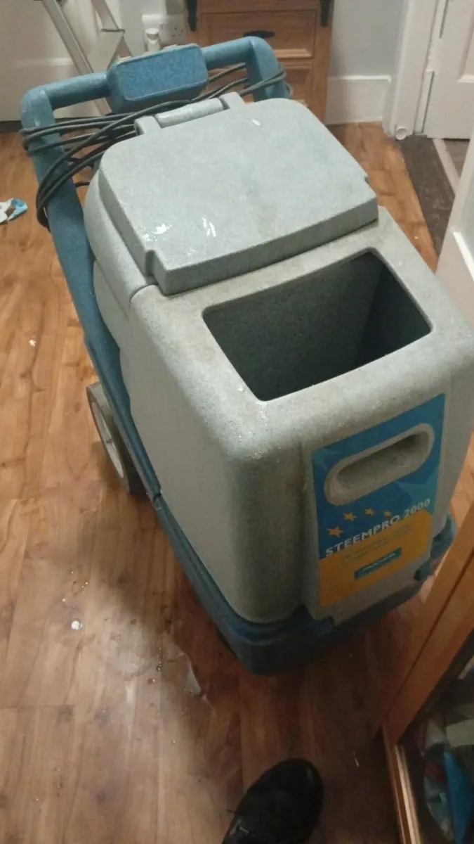 Carpet cleaning - Image 1