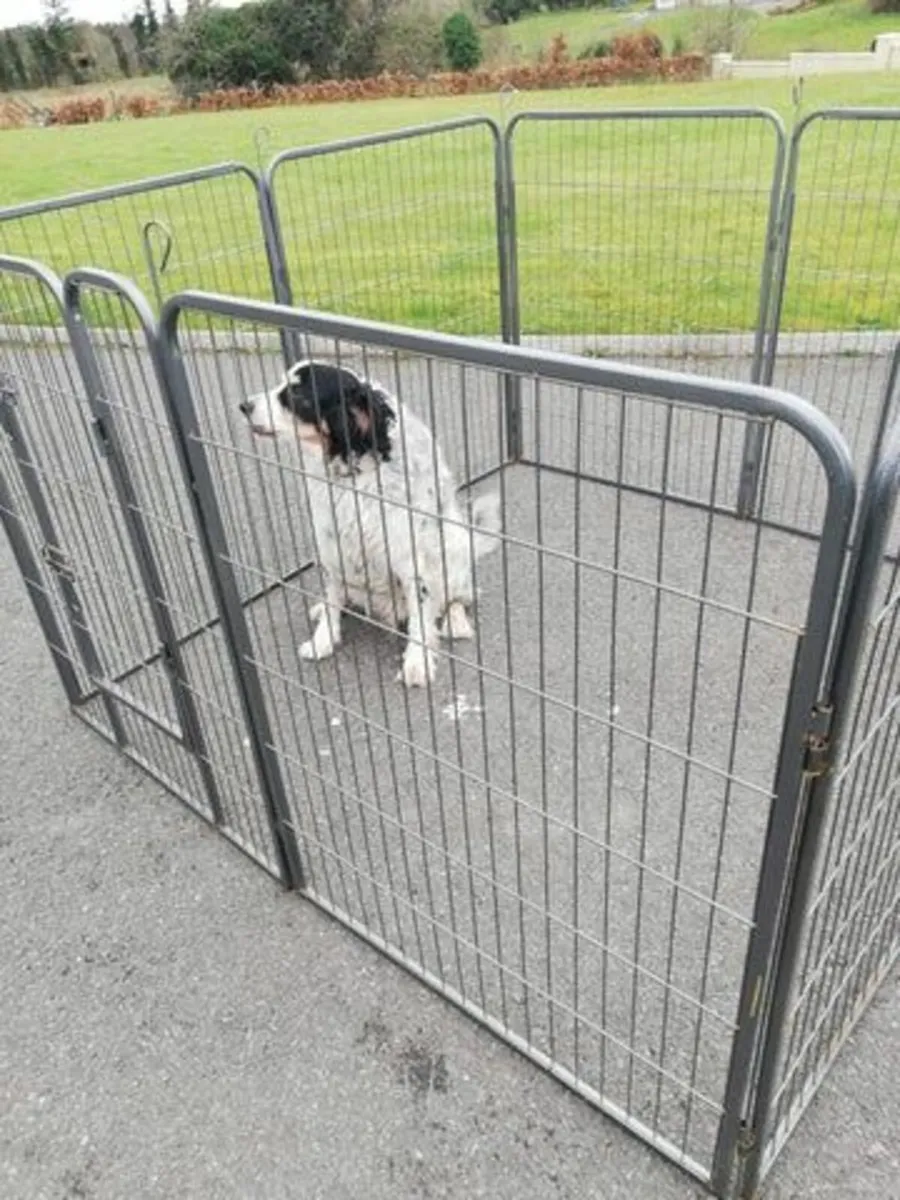 8 Panel Dog enclosure kennel Free Delivery - Image 1
