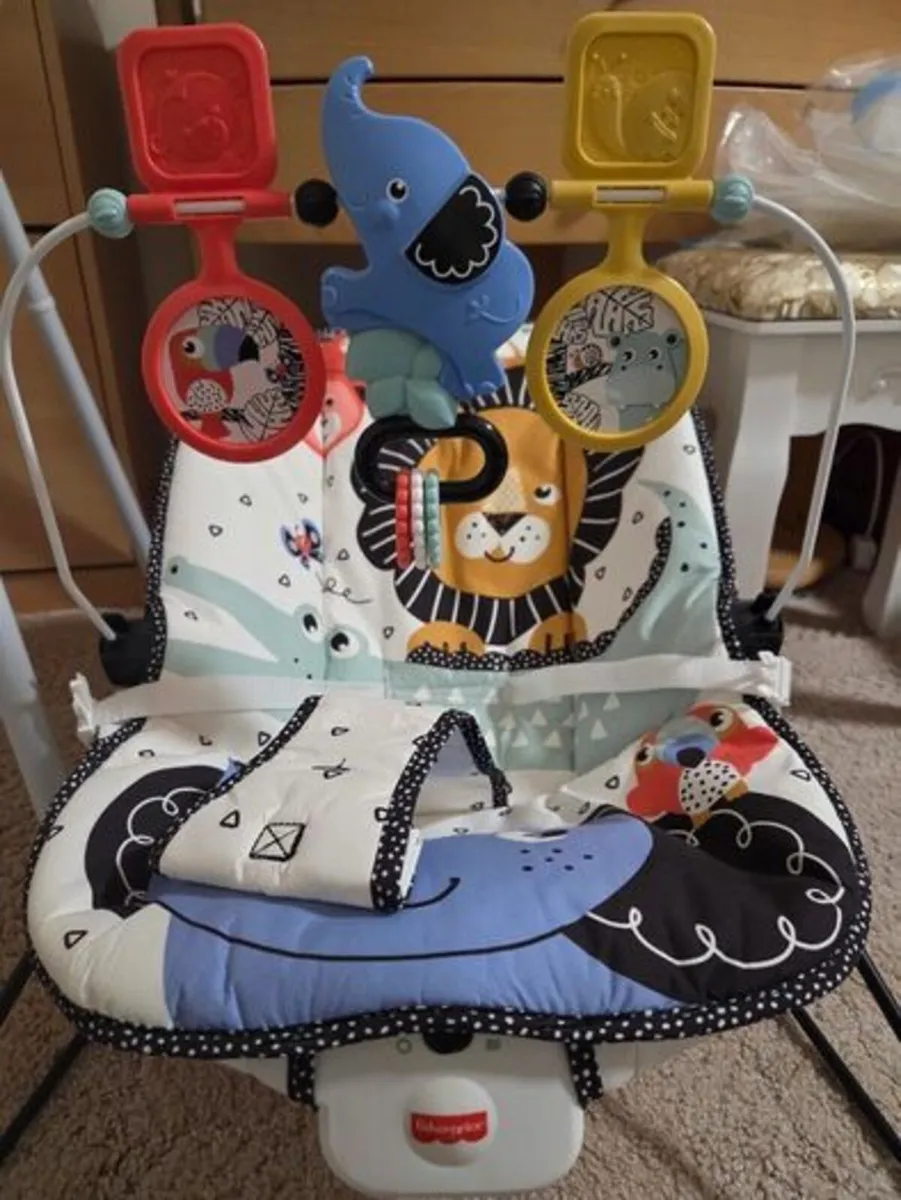 Fisher-Price Bouncer - Image 1