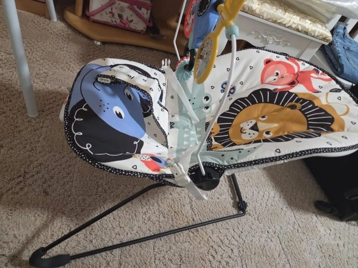 Fisher-Price Bouncer - Image 4