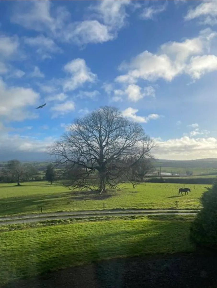 Grass Livery - Image 1