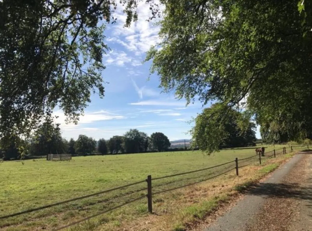 Grass Livery - Image 2