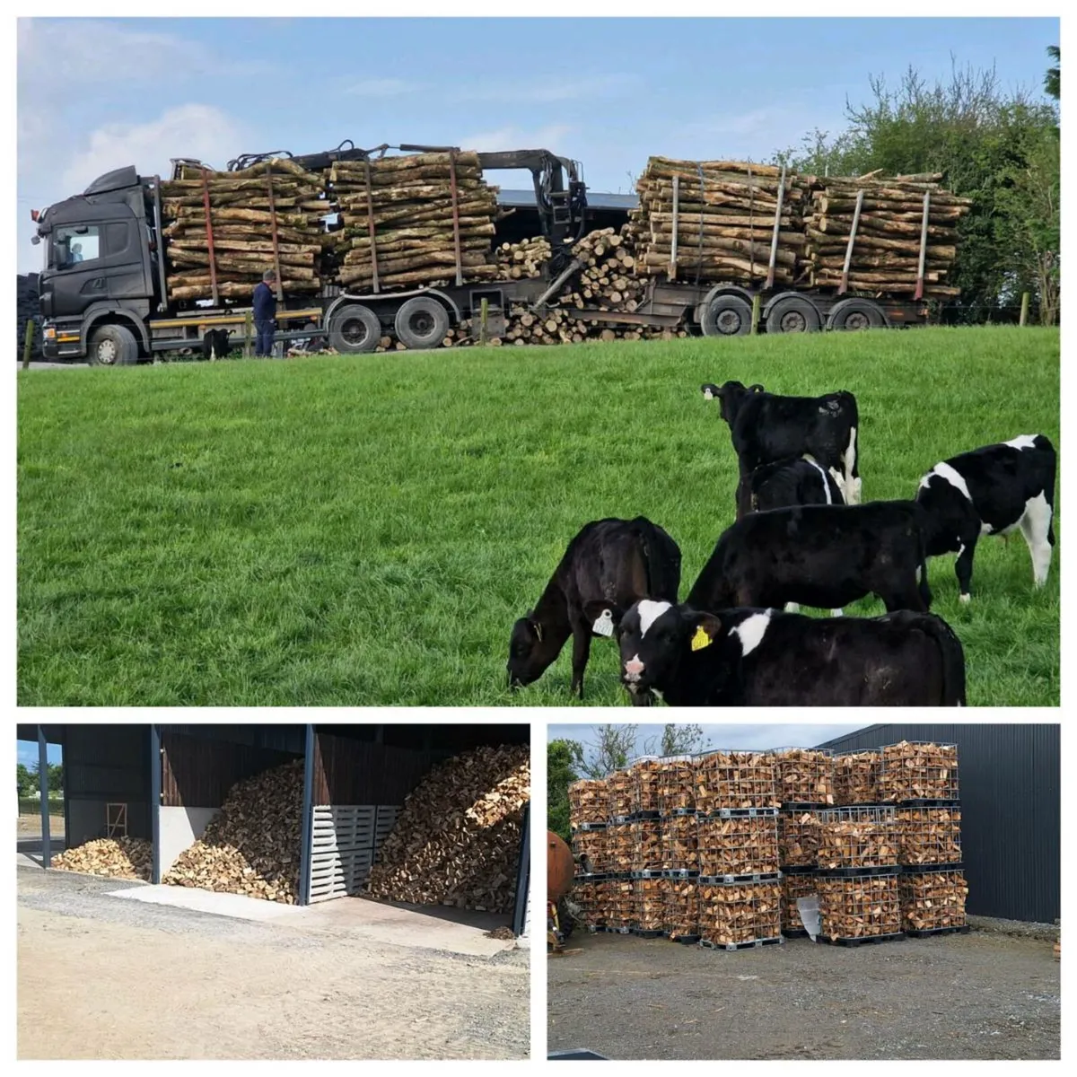 Hardwood & Softwood firewood - Image 1