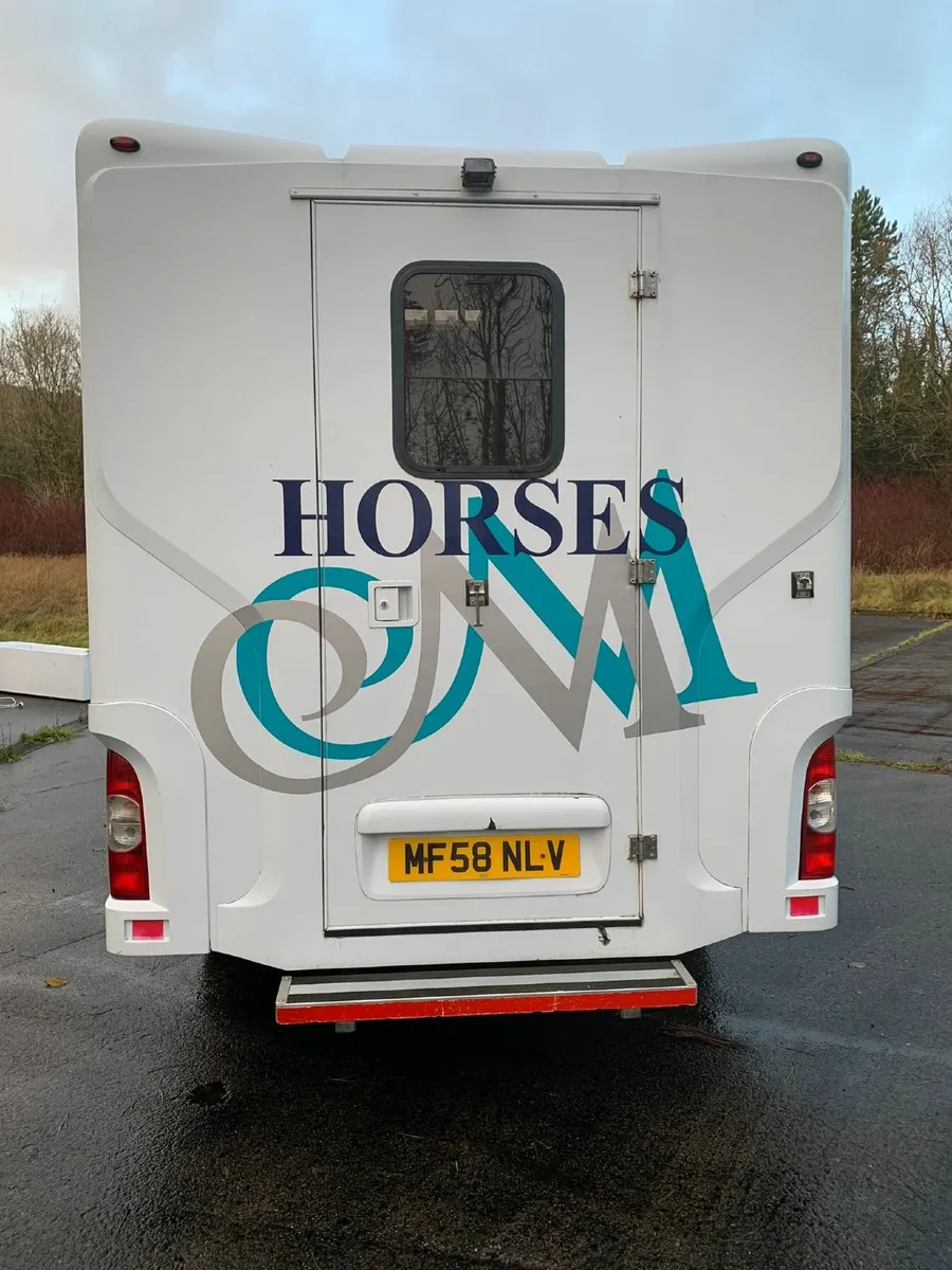 3.9T Missina Vauxhall Movano double cab horsebox - Image 2