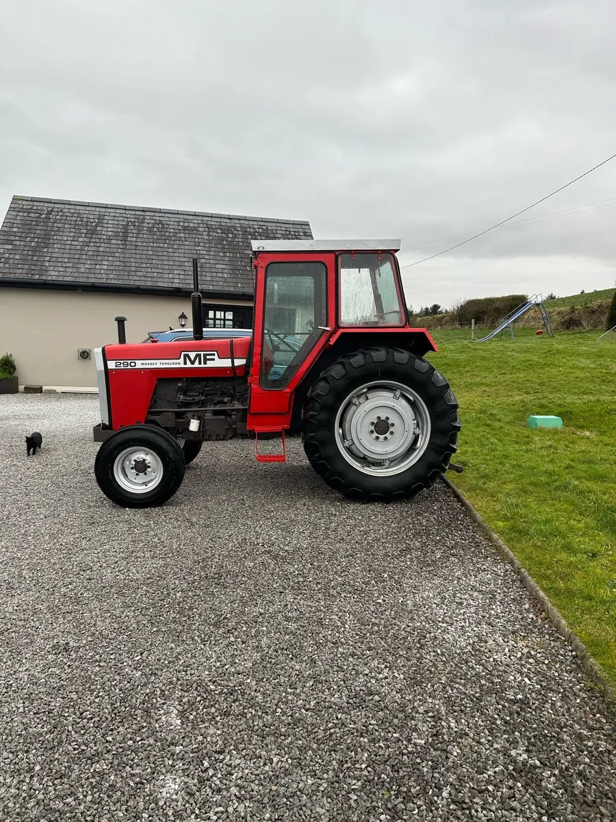 Massey Ferguson 290 - Image 2