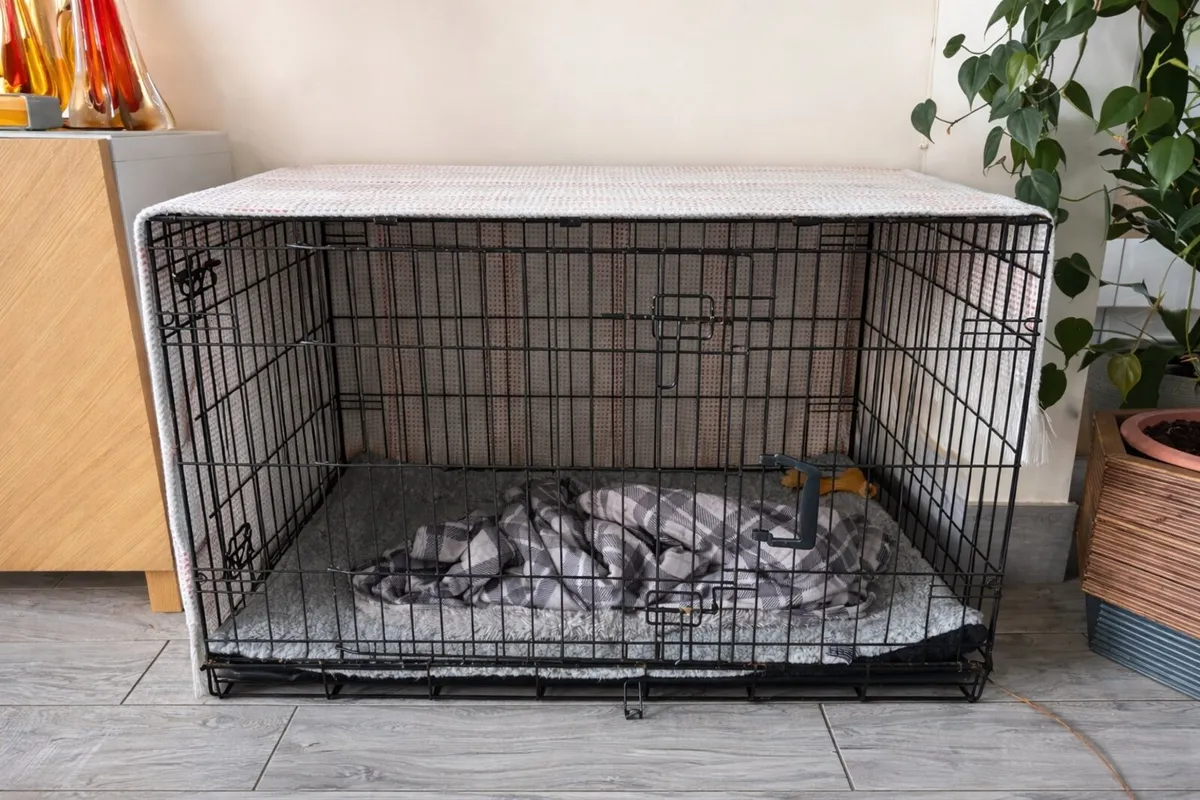 Large dog create - Image 1