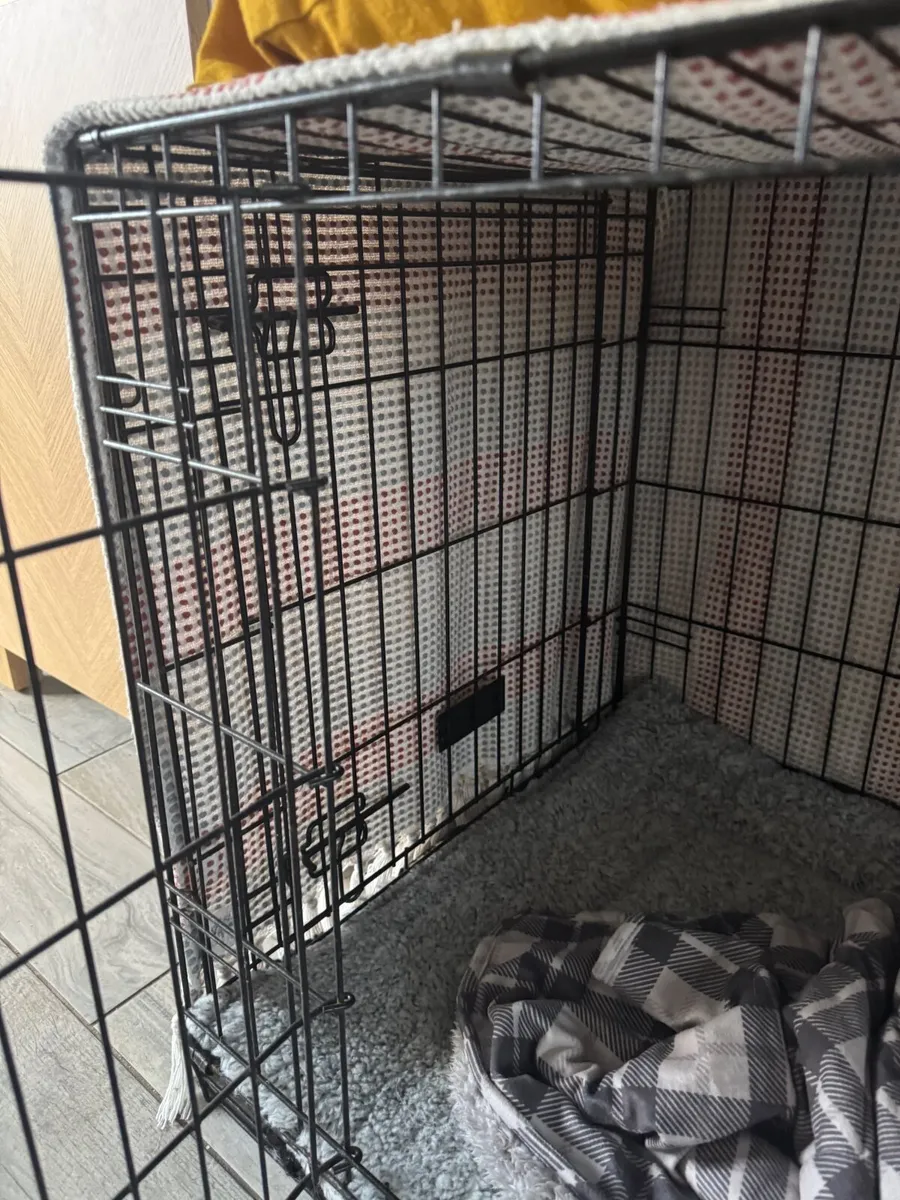 Large dog create - Image 2