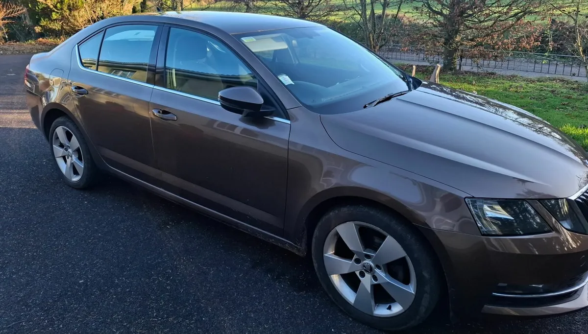 Skoda Octavia 2018 Automatic Style - Image 3