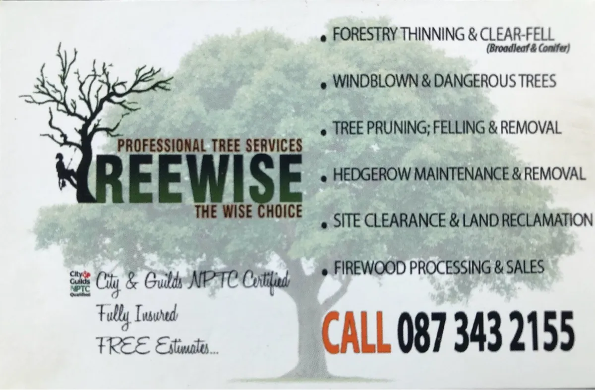 Treewise Tree Services - Image 1