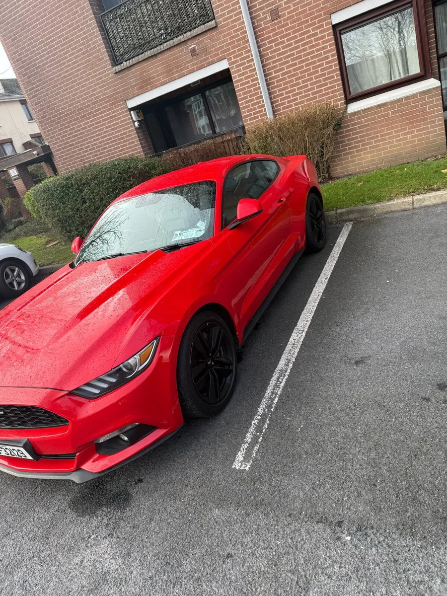 2016 ford mustang - Image 2