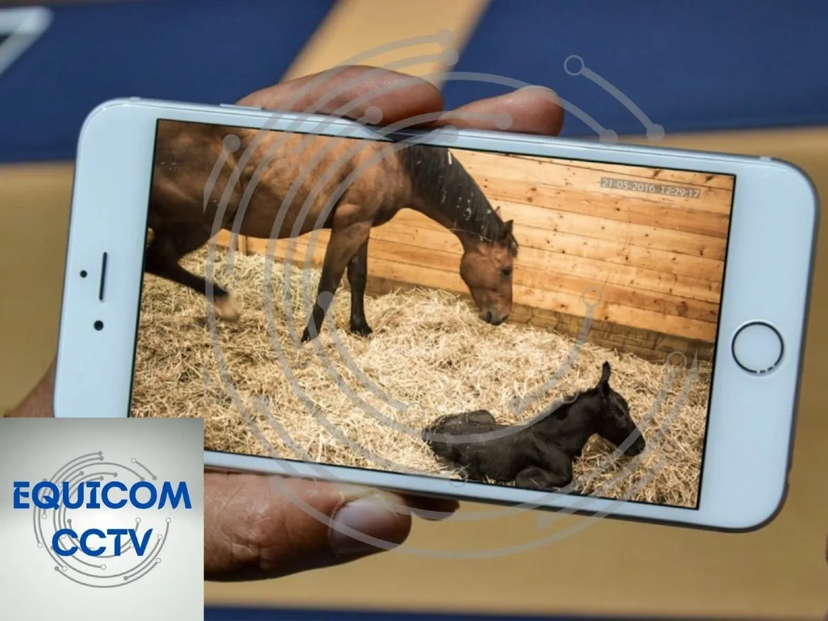 foaling camera