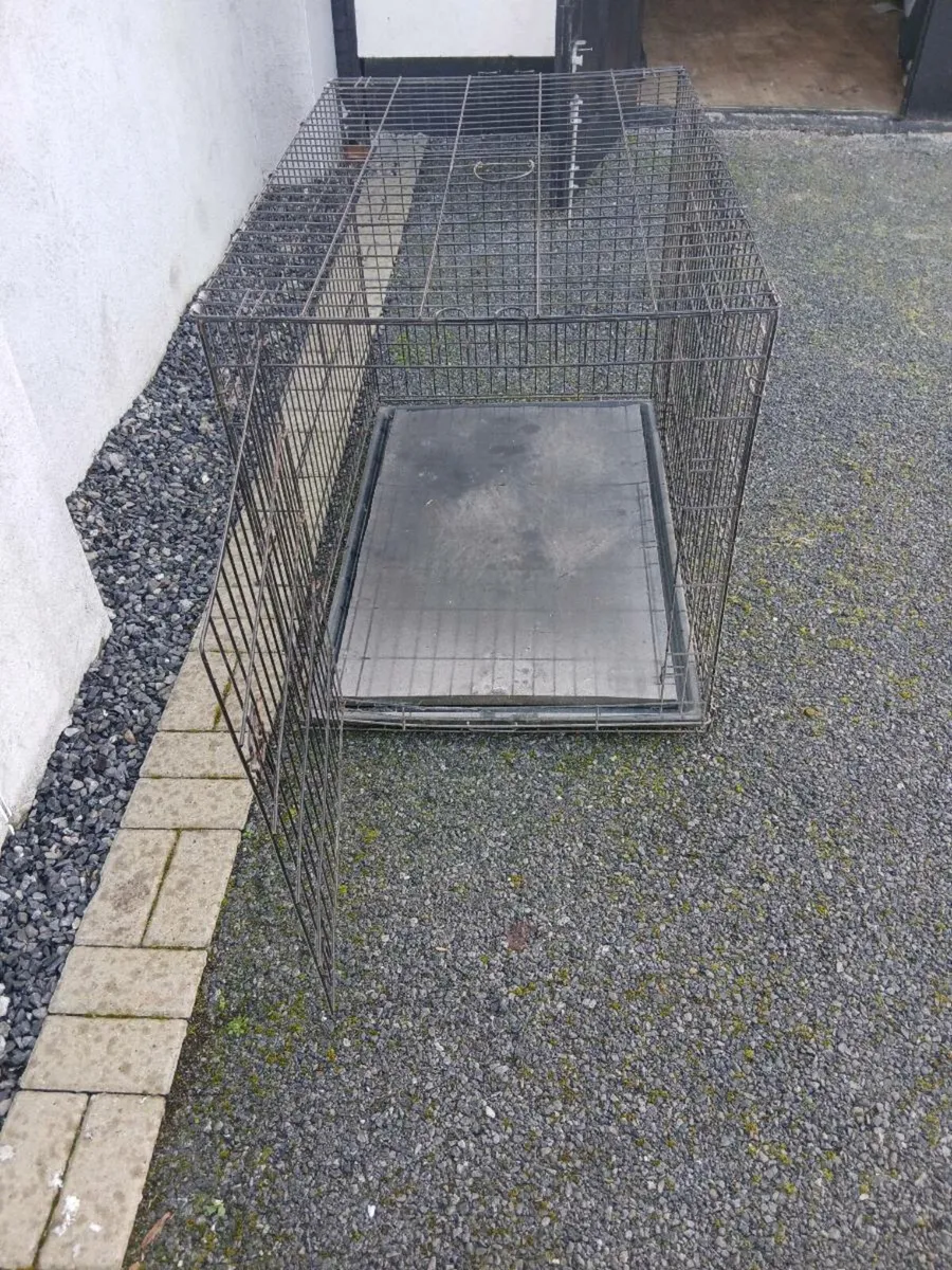 Xxl dog crate - Image 4