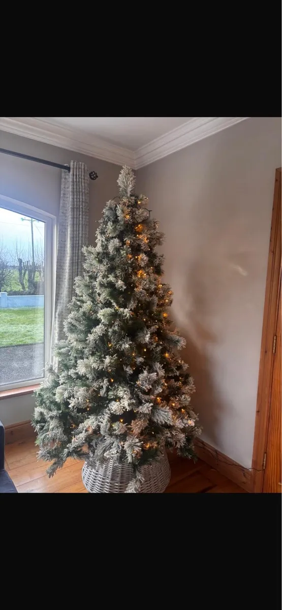 Christmas tree - Image 2