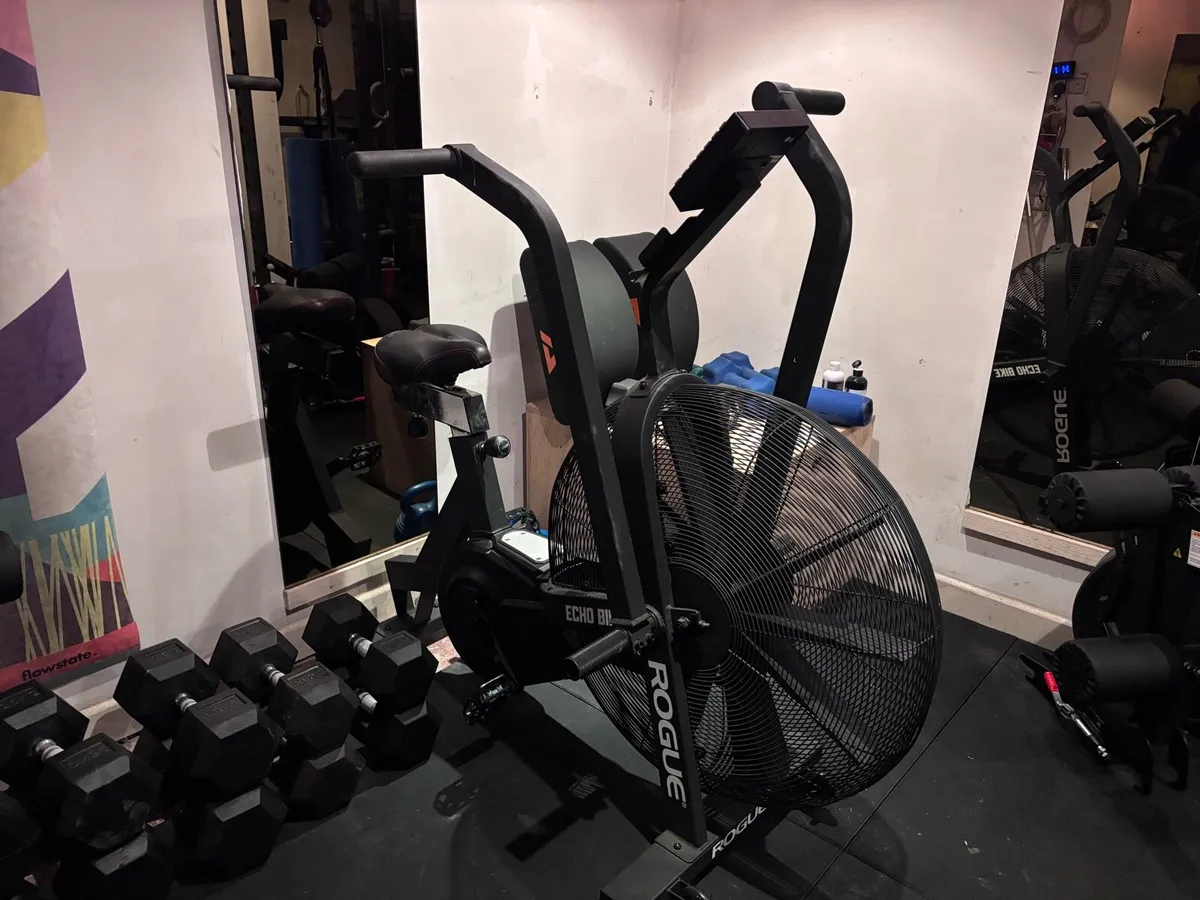 Rogue echo bike - Image 1