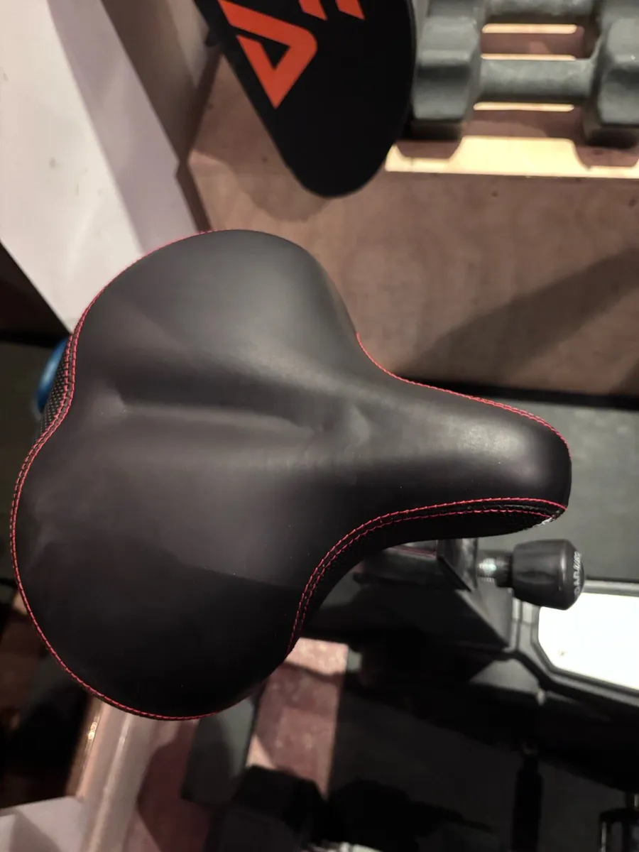 Rogue echo bike - Image 2